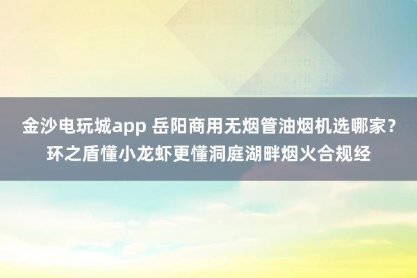 金沙電玩城app 岳陽商用無煙管油煙機(jī)選哪家？環(huán)之盾懂小龍蝦更懂洞庭湖畔煙火合規(guī)經(jīng)