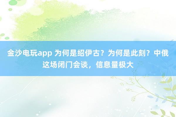 金沙電玩app 為何是紹伊古？為何是此刻？中俄這場閉門會談，信息量極大
