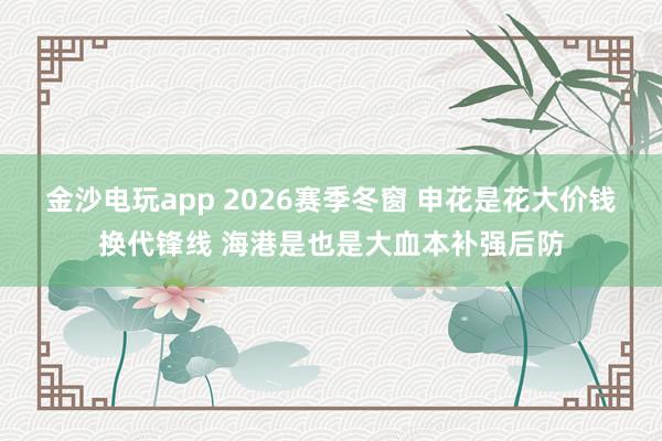 金沙電玩app 2026賽季冬窗 申花是花大價錢換代鋒線 海港是也是大血本補強后防
