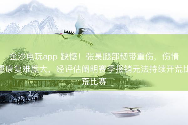 金沙電玩app 缺憾！張昊腿部韌帶重傷，傷情嚴重康復難度大，經評估闡明賽季報銷無法持續開荒比賽