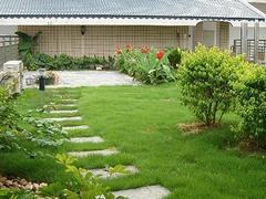 信譽好的屋頂綠化,提供專業的屋頂綠化-福州御景園環?？萍继峁┬抛u好的屋頂綠化,提供專業的屋頂綠化的相關介紹、產品、服務、圖片、價格庭院設計、福州植物墻、福州屋頂綠化、福州墻體美化裝飾、福州仿真植物墻、福州辦公綠化、