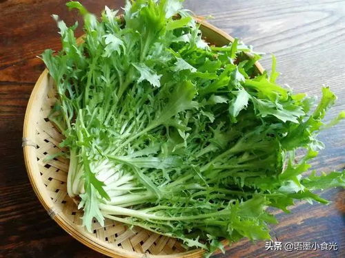 夏日養生必備 5種苦味食物清熱涼血，輕松度夏