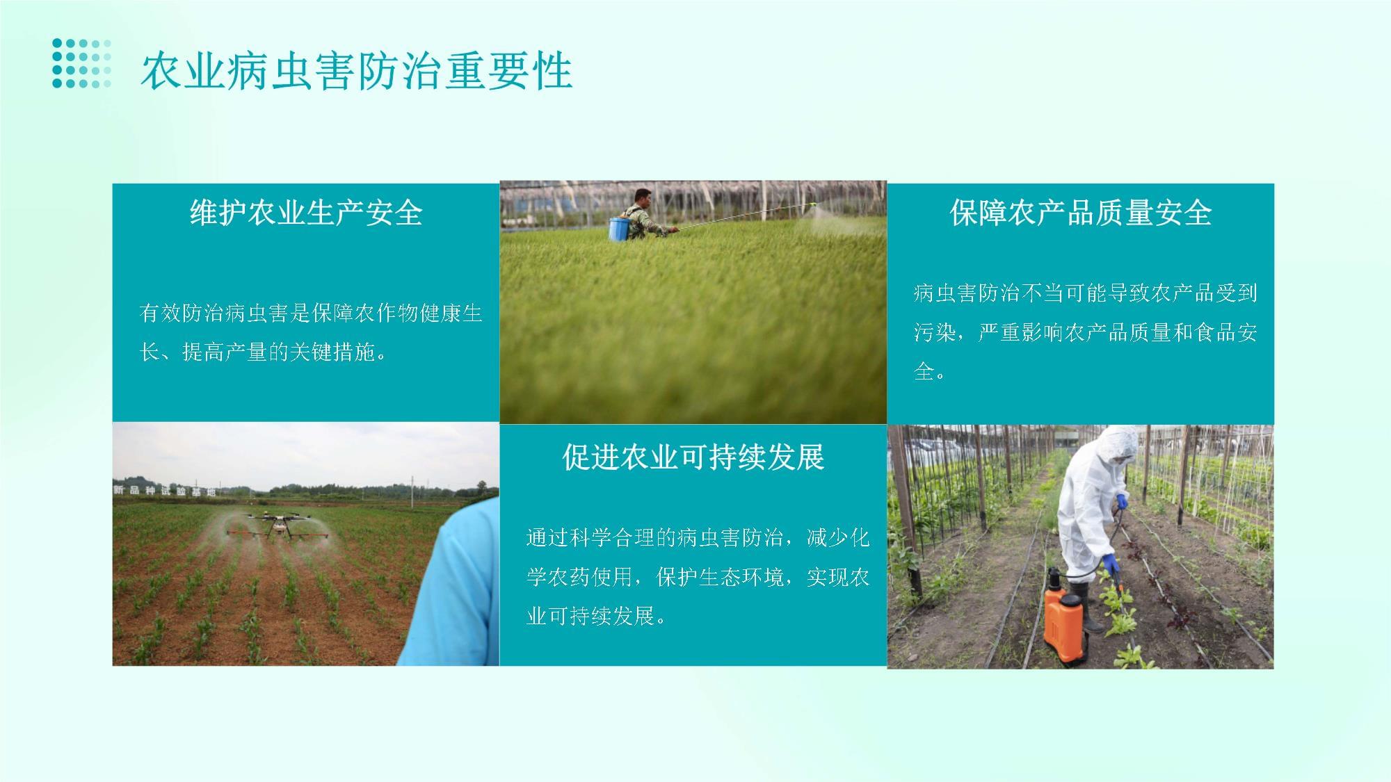 聚焦綠色防控 現(xiàn)代農(nóng)業(yè)病蟲(chóng)害防治技術(shù)培訓(xùn)與實(shí)踐